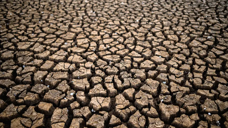 ANM îi va ajuta pe fermieri să anticipeze fenomenele meteo extreme și să optimizeze producțiile foto: Freepik (fotografie cu caracter ilustrativ)