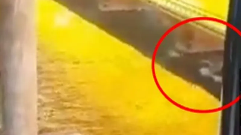 Ceva s-a aflat sub pod înaintea exploziei de deasupra/foto: social media