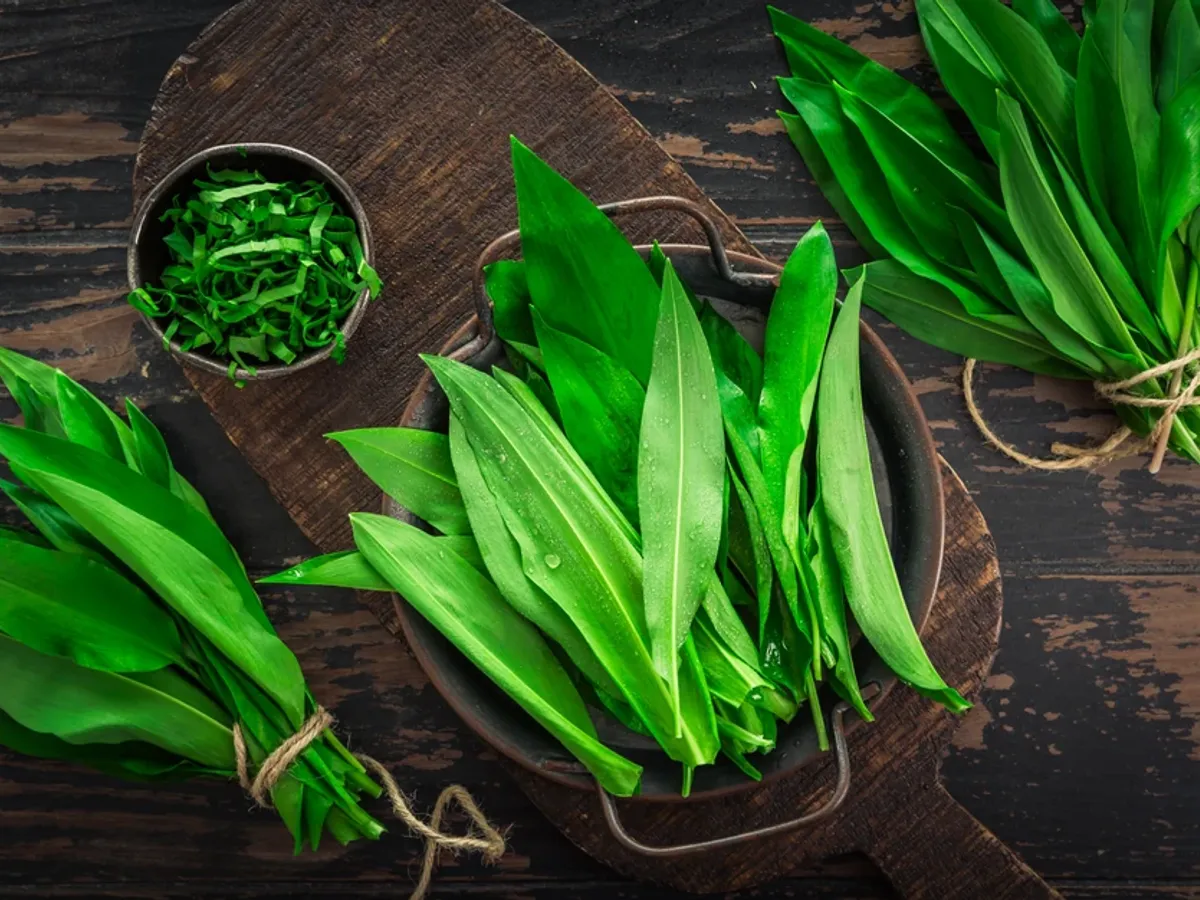 Regele pădurii, magneziul natural: planta sălbatică care scade tensiunea, colesterolul și zahărul