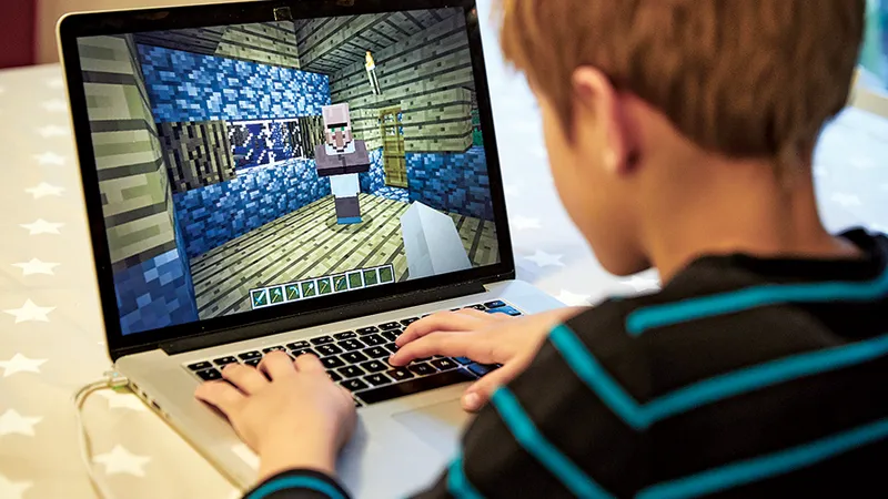 Atacul Mirai din 2016 a arătat cât de vulnerabil poate fi „Internet of Things”. Acesta a început ca un atac Distributed Denial of Service pe serverele mici, utilizate pentru jocul video Minecraft