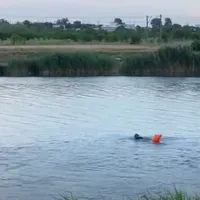 VIDEO Un înotător de performanță s-a înecat în Canalul-Dunăre Mara Neagră/FOTO: Captura Youtube
