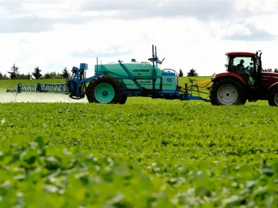 „Bomba cu ceas” care amenință să provoace o explozie a prețurilor alimentelor