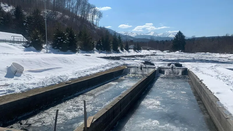 Păstrăvăria Laita / Foto: Păstrăvăria Laita, Facebook