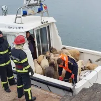 Oile salvate de pe nava răsturnată la Petromidia Foto: ISU Constanța