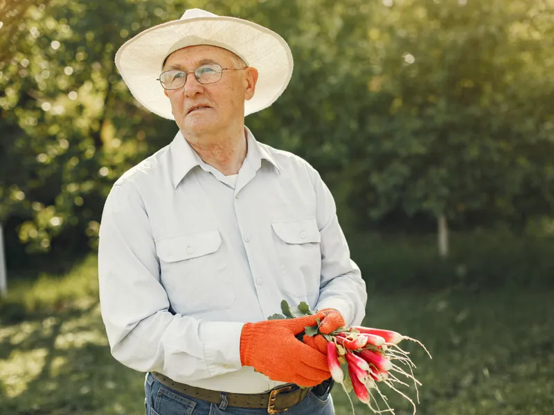 Ce categorii de pensionari vor pierde mii de lei la pensie? Sumele, în funcție de ce avere au - Foto: Freepik (Imagine cu rol ilustrativ)