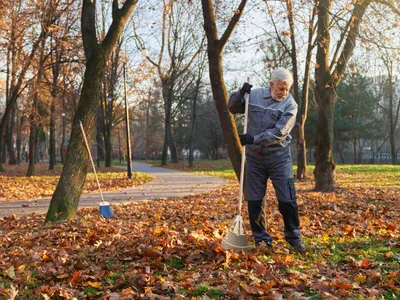 Bărbat care curăță grădina - Foto: Freepik (rol ilustrativ)