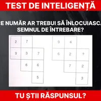 Test de inteligență Foto: Daniel Toșa
