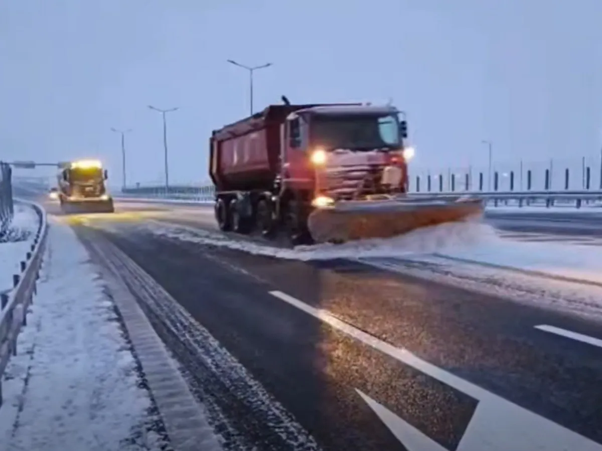 VIDEO Iarna nu se lasă! Viscol, ninsori, șosele închise, restricții de trafic, copaci rupți