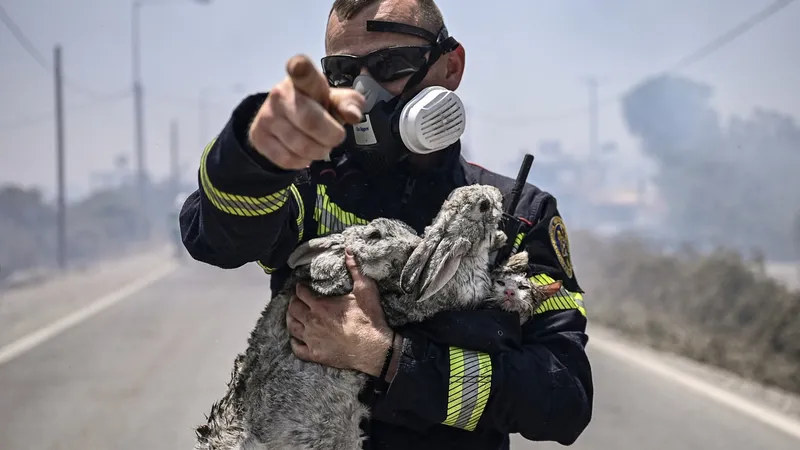Pompier român care salvează un iepure din incendiile din Grecia - Foto: Profimedia Images