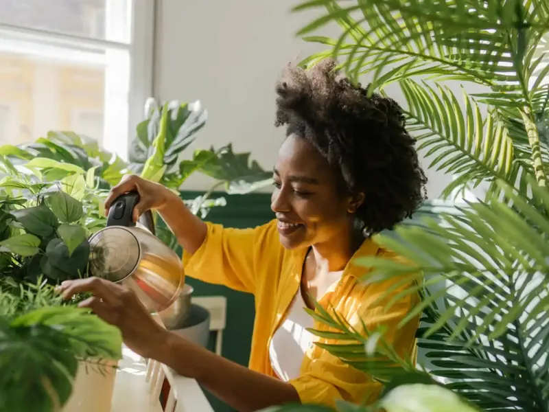 Planta „fericirii” pe care trebuie să o ai în casa ta. Îți dă o stare de bine și atrage norocul - Foto:Istock / imagine cu rol ilustrativ