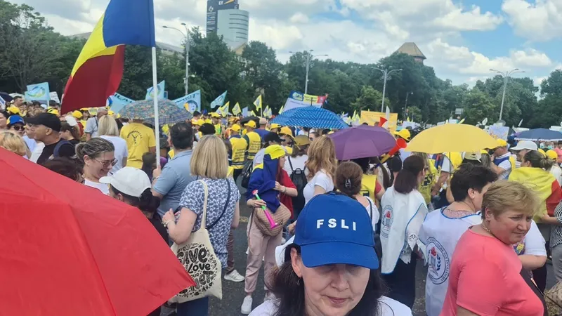 Profesorii nu opresc greva, părinții sunt exasperați Foto: Facebook/FSLI