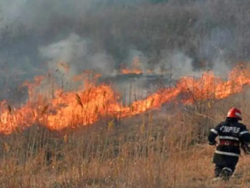 50 de hectare de pădure și vegetație au luat foc în Delta Dunării. Intervin pompierii - Foto: Arhivă/ Imagine cu caracter ilustrativ