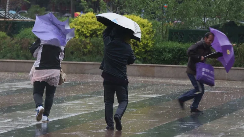 Avertizare Meteo: Cod galben de vânt puternic în întreaga ţară, Cod portocaliu de viscol la munte - Foto: Getty Images