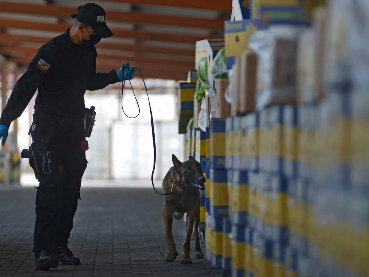 Peste 3,2 tone de cocaină cu destinația Europa, confiscate în Ecuador. / Foto: Profimedia