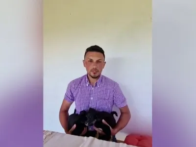 Câini Foto: captură video PROTV