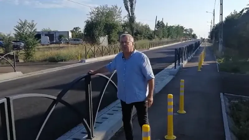 Mircea Dinescu, poezie despre pistele de biciclete din Sălcuța. / Foto: captură video