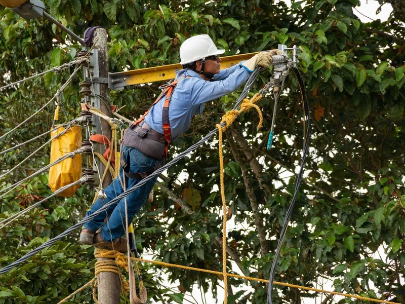 Electrician - Foto: Profimedia