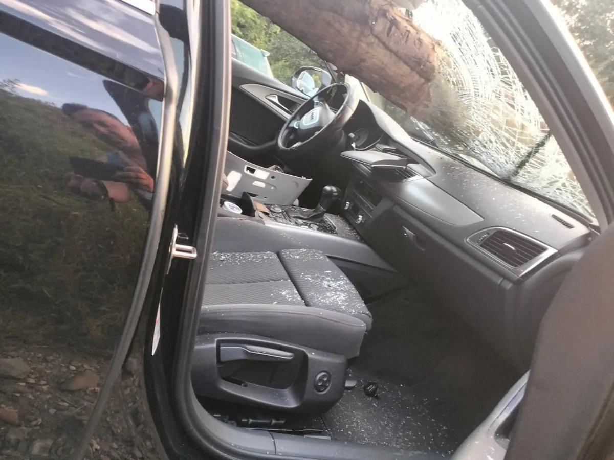 Un buștean a căzut dintr-un TIR cu lemne și s-a înfipt în parbrizul unui Audi din Austria - Foto: Facebook/INFO TRAFIC ROMANIA