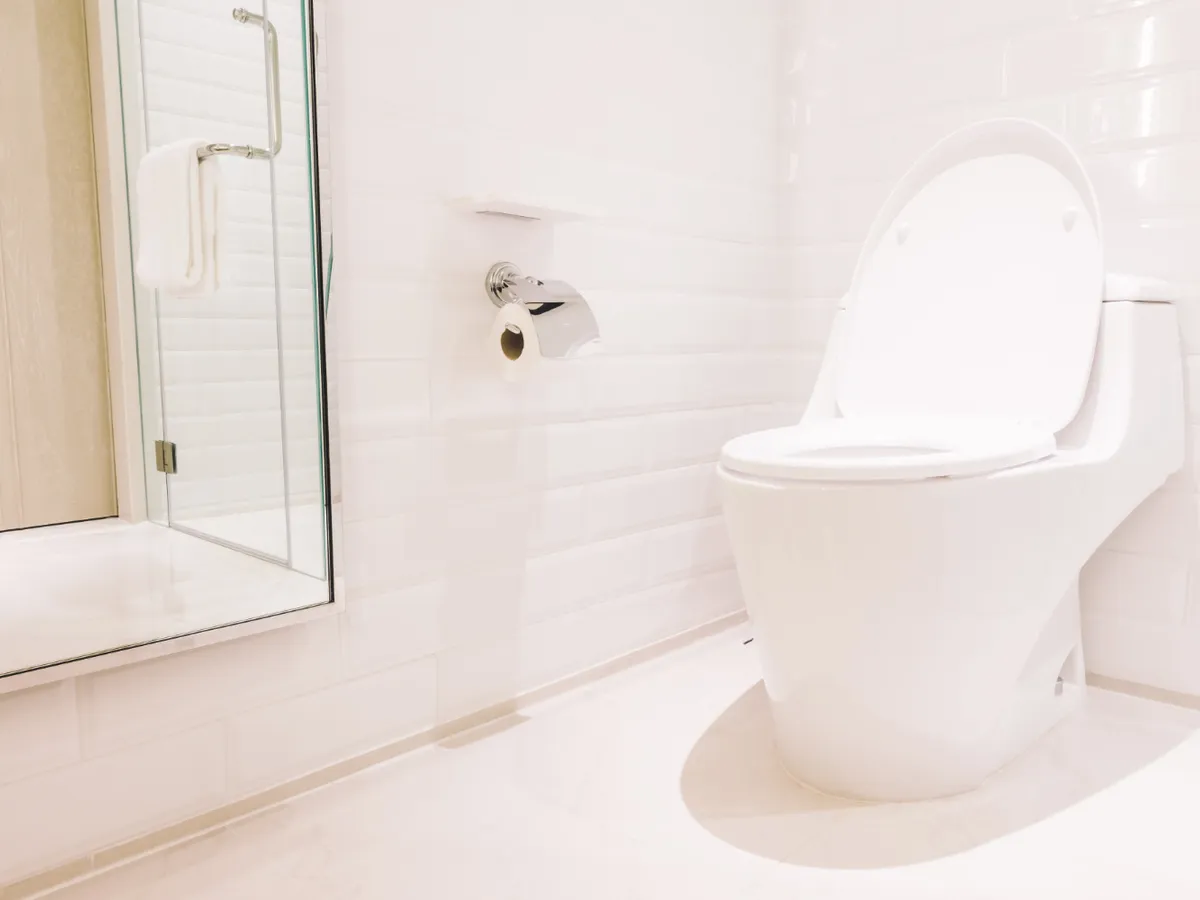 Introduceți o frunză de dafin în rezervorul de la WC. Femeile din Rusia au descoperit un truc de aur