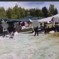 Mascații, „invitați” la un festival de muzică în satul Preluca. / Foto: captură video