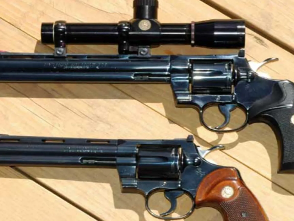 Colt Python - FOTO wikimedia.org