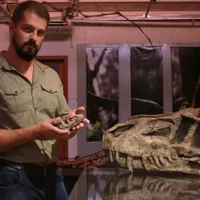 Fosila de 237 de milioane de ani găsită în Brazilia ar putea explica ascensiunea dinozaurilor - FOTO: Profimedia(imagine cu rol ilustrativ)