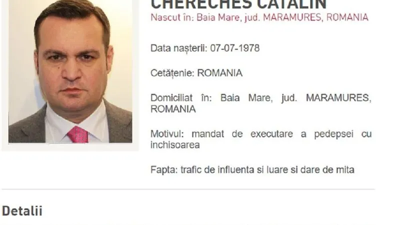 Cherecheș are „ținta pe spate”. Alina Gorghiu: „Legea împotriva fugarilor i se va aplica și lui” - Foto: Arhivă/ Imagine cu caracter ilustrativ