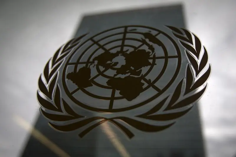 Ucraina solicită o reuniune de urgenţă a Consiliului de Securitate al ONU. / Foto: reuters.com