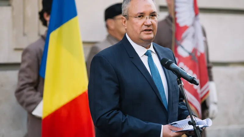 Ciucă, despre recoltarea de stuf din Deltă: „Nu se execută plăţi, dacă nu sunt îndeplinite regulile” - Foto: Profimedia Images/ Imagine cu caracter ilustrativ