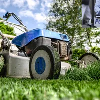 Amendă pentru activități în propria curte FOTO: Colaj INQUAM PHOTOS/Octav Ganea/Pixabay.com