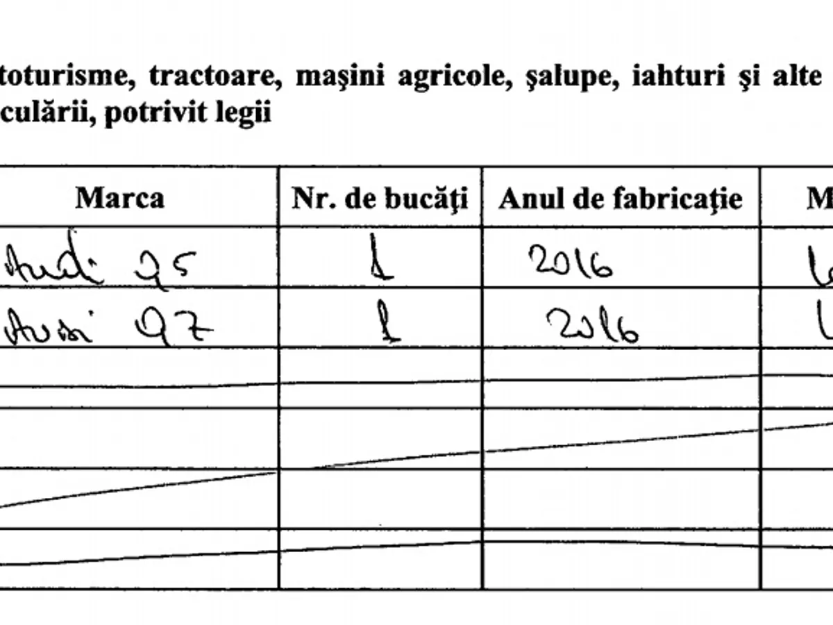 Sursa: Declarație de avere Marcel Pavel / ANI