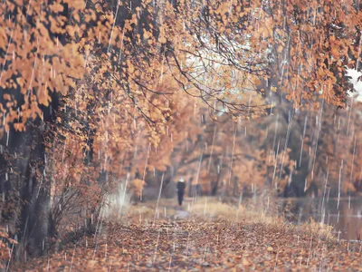 METEO Vine toamna în mare parte din țară. Unde se răcește și vor fi și maxime de 11 grade? - Foto: Arhiva (imagine cu rol ilustrativ)