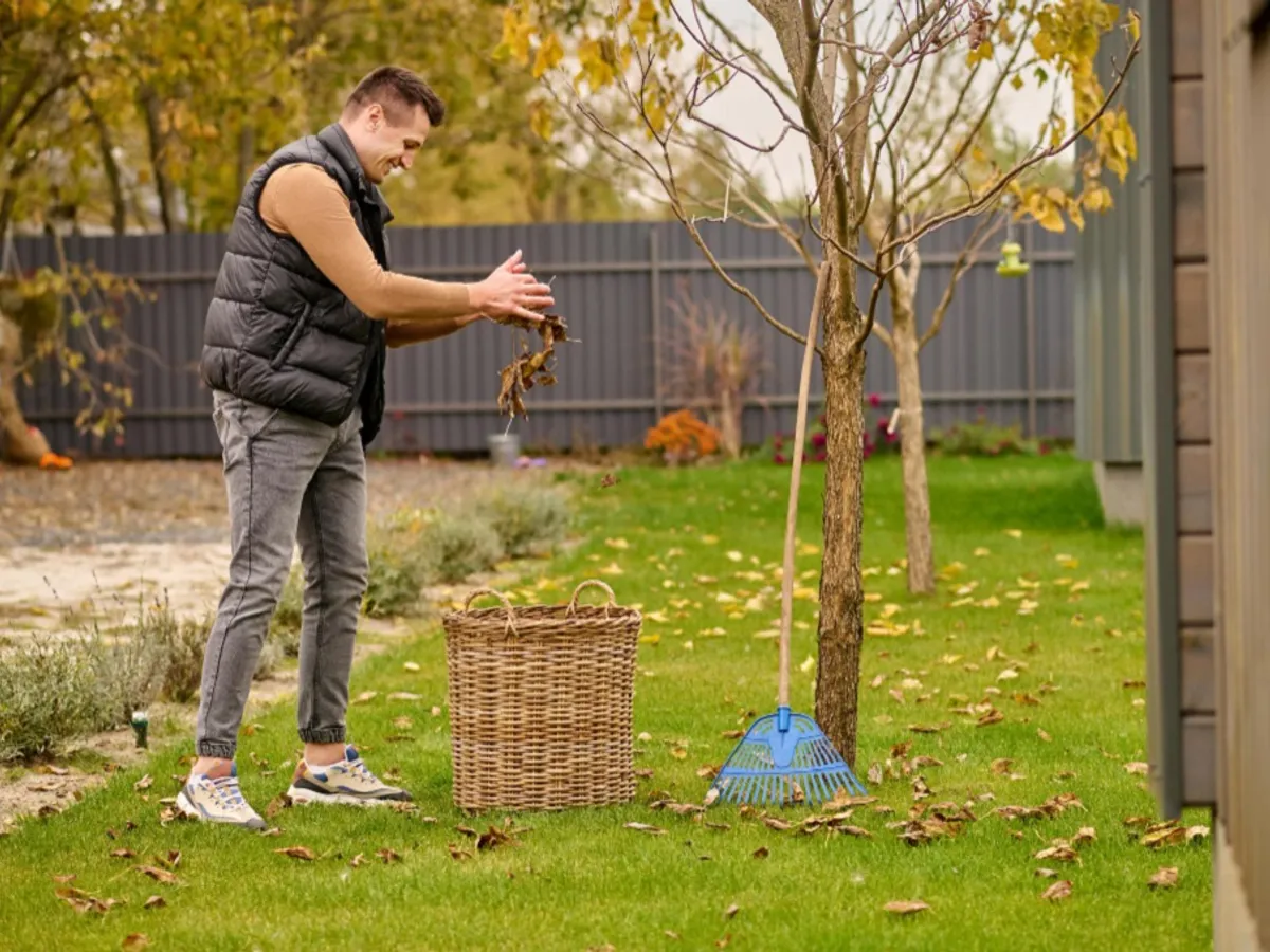 Un bărbat adună fruze în grădină - Foto: Freepik