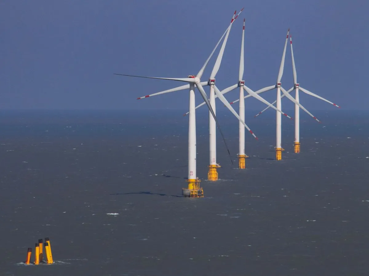 Guvernul a aprobat normele pentru concesionarea perimetrelor eoliene offshore din Marea Neagră