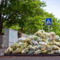 Românii aruncă în fiecare an aproximativ 2,55 de milioane de tone de mâncare/FOTO: Unsplash