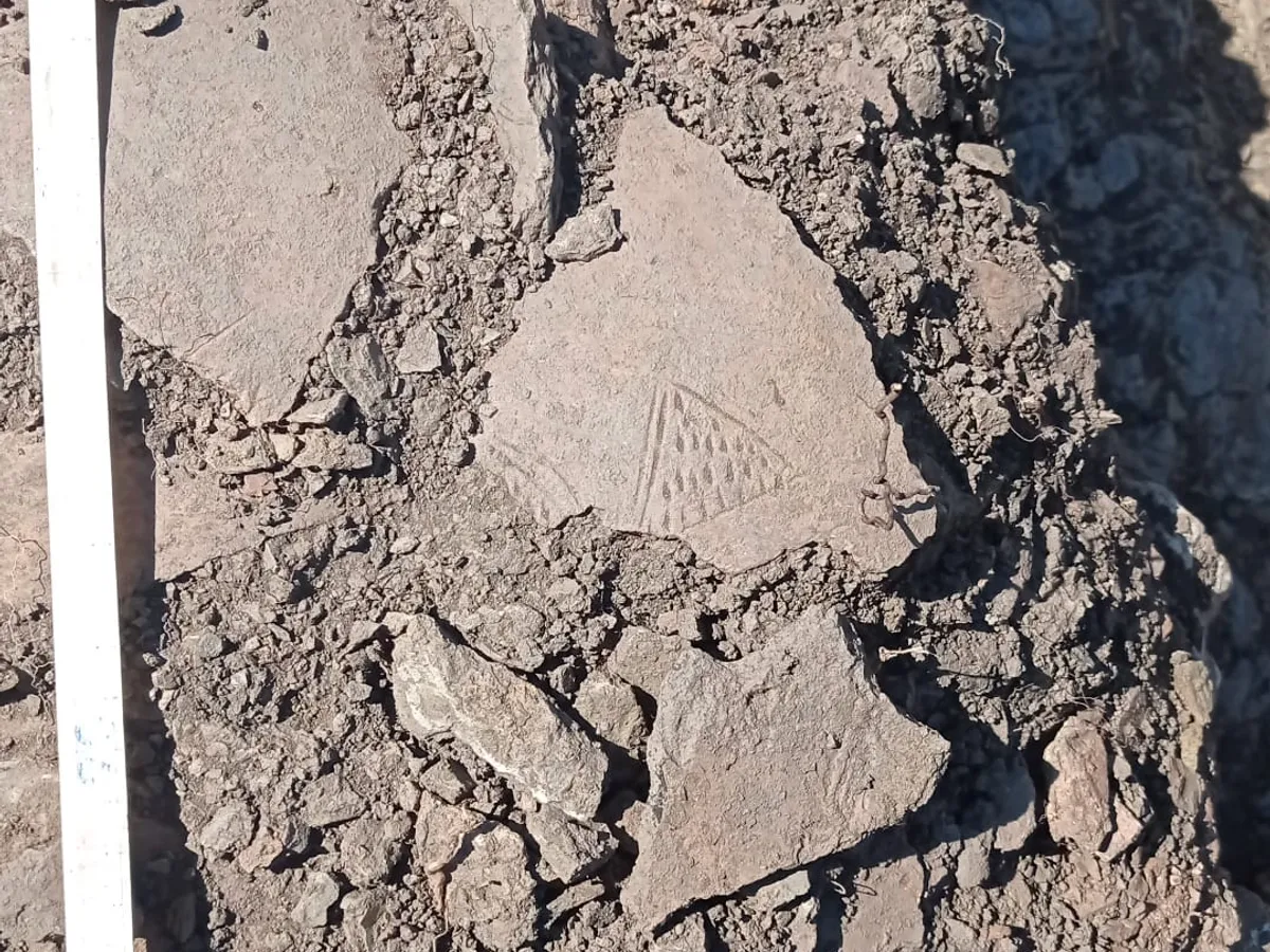 Noi descoperiri, în situl Păuleni - Ciuc Dâmbul Cetăţii: Amforete şi vase de peste 4.000 de ani - Foto: Facebook/MNCR - Muzeul Naţional al Carpaţilor Răsăriteni