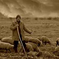 Cât ar fi trăit cel mai longeviv român - Foto: Pixabay - cu rol ilustrativ
