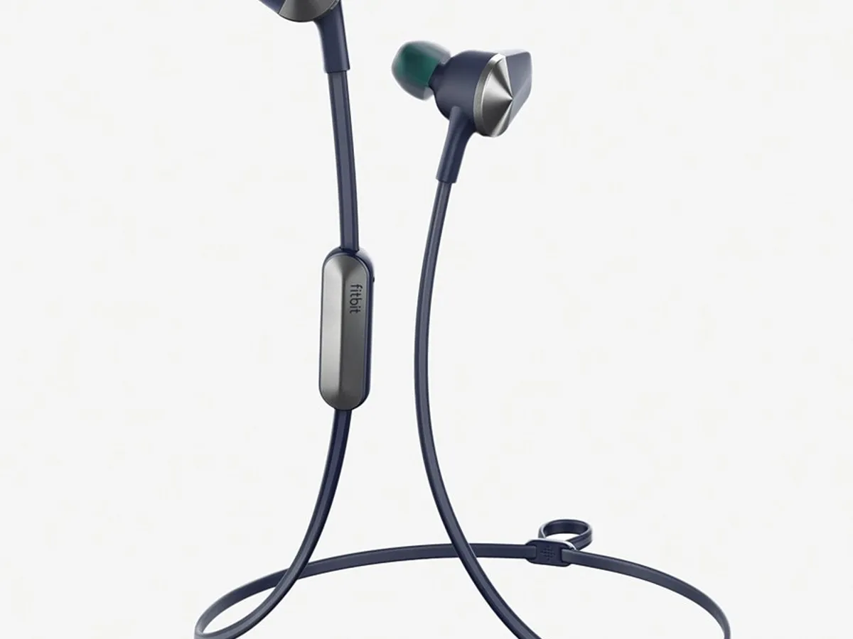Fitbit Flyer