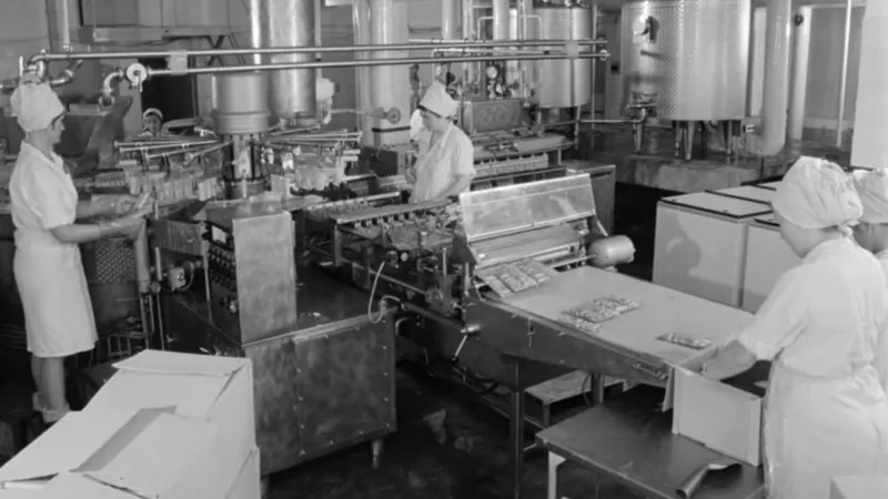 Baby Boomer, din generația X sau millenial? Sigur ai mâncat înghețată Polar. Cum se făcea - Foto: captură video