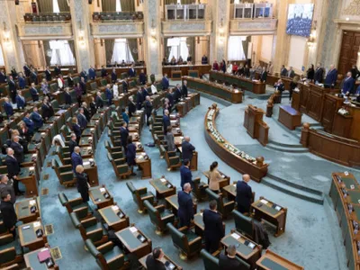 Ninel Peia, către o senatoare USR: „Mama dvs. a luat prea mult paracetamol când a fost însărcinată”