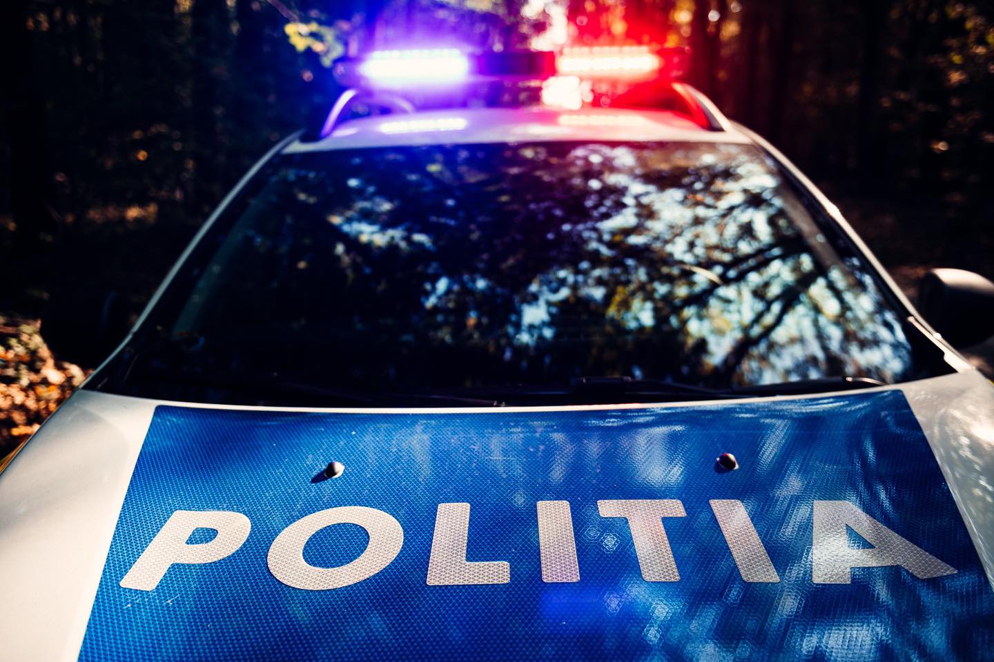 Opt migranţi găsiţi de poliţişti într-un TIR, la ieşire din Timişoara. Șoferul a alertat poliția/FOTO: Facebook/PolitiaRomana