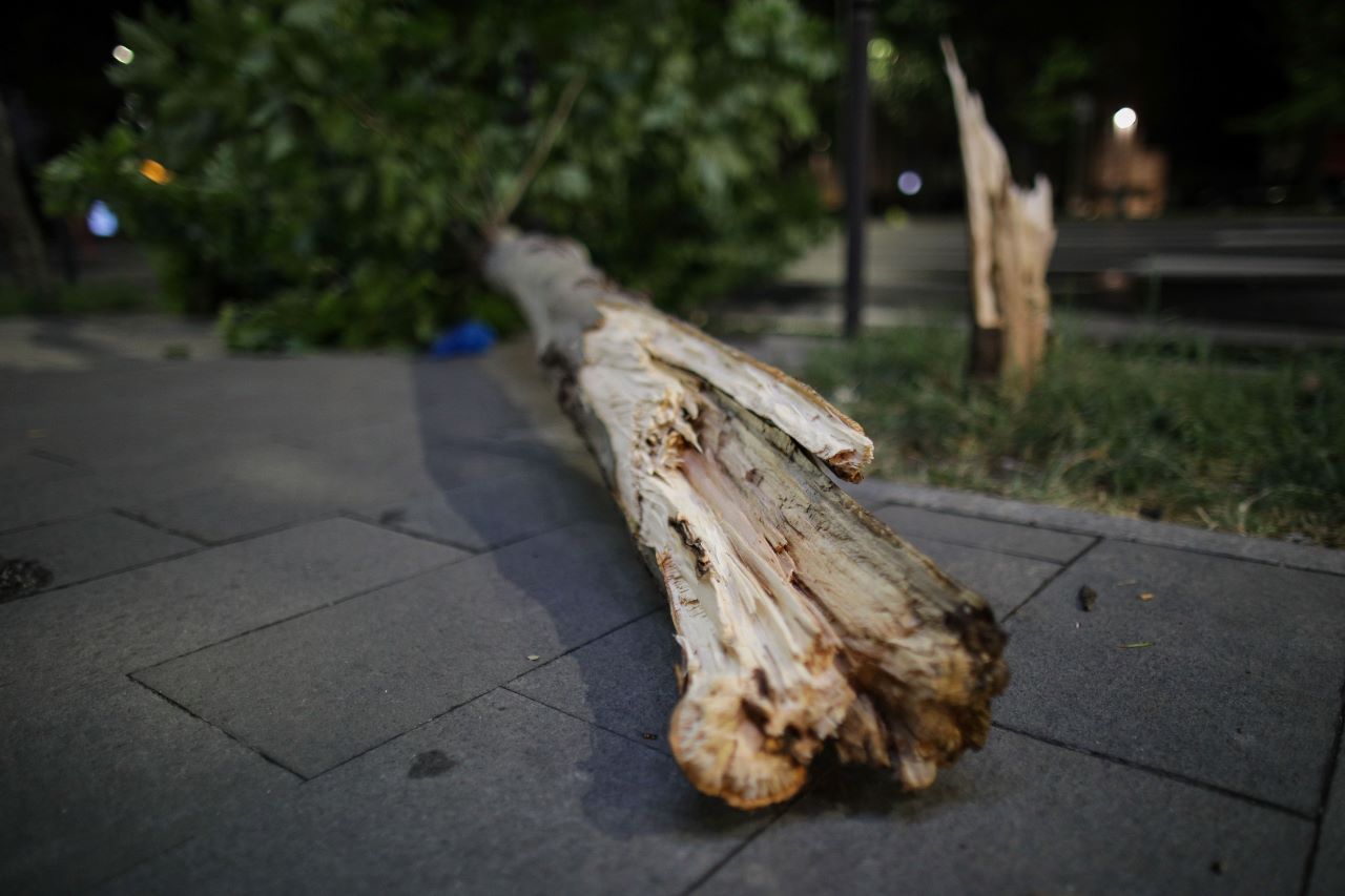 Furtuna de noaptea trecută a provocat daune în Giurgiu. Copaci, cabluri electrice și mașini avariate/FOTO: Inquam Photos / Octav Ganea