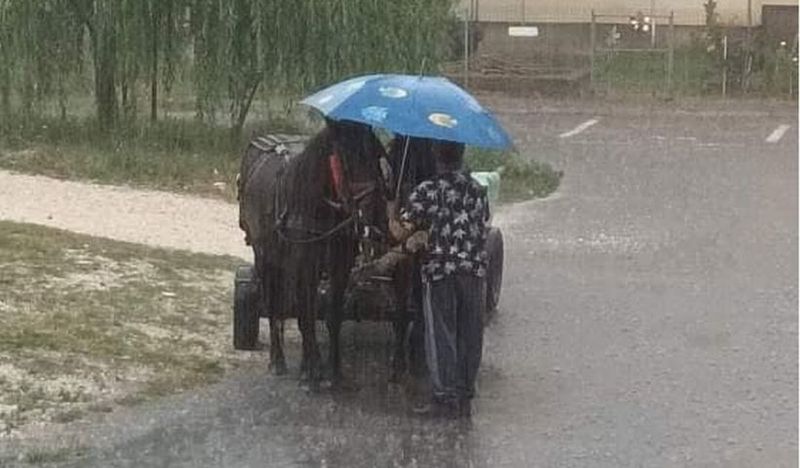 Cai - Foto: Facebook/Mariana Zaharia