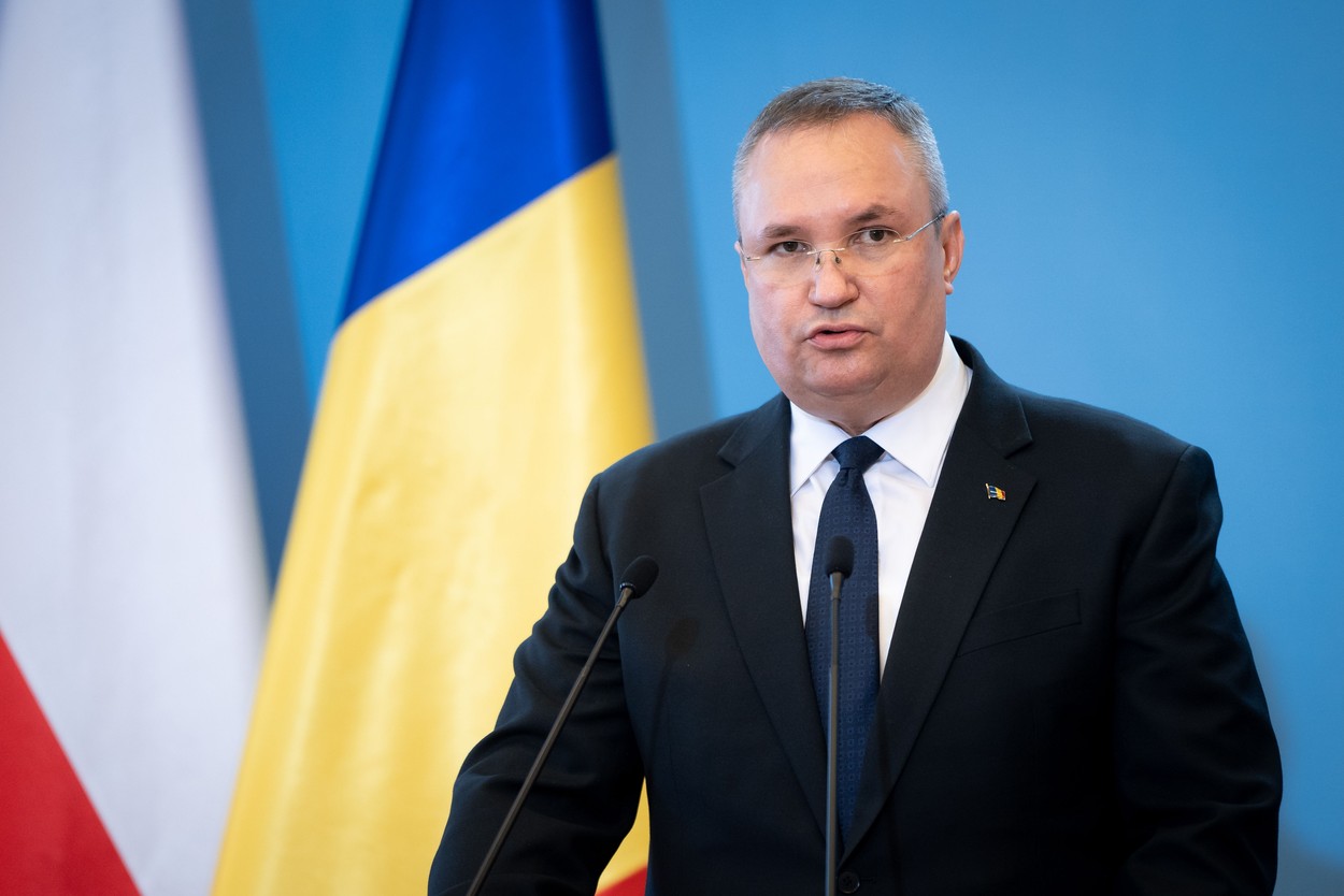 Nicoale Ciucă - Foto: Profimedia