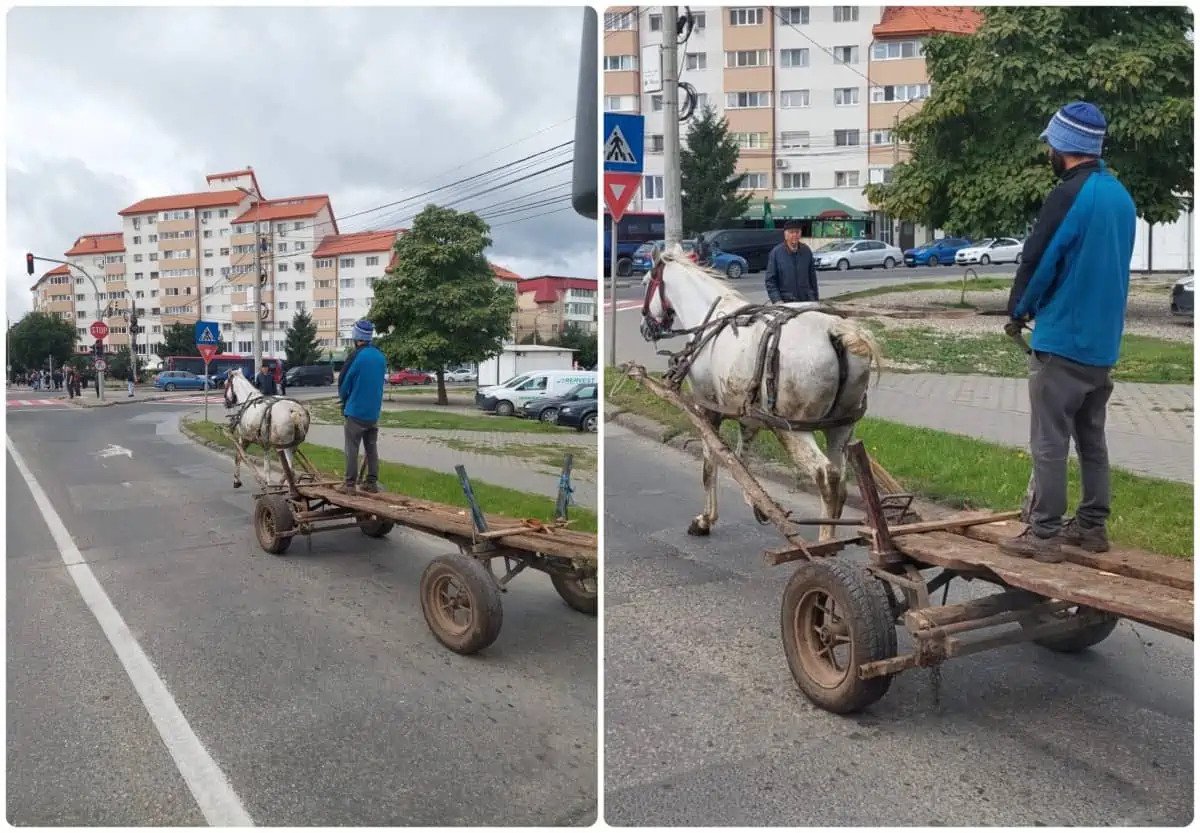 Cu căruța, în picioare, prin centrul orașului - Foto: Alba24.ro