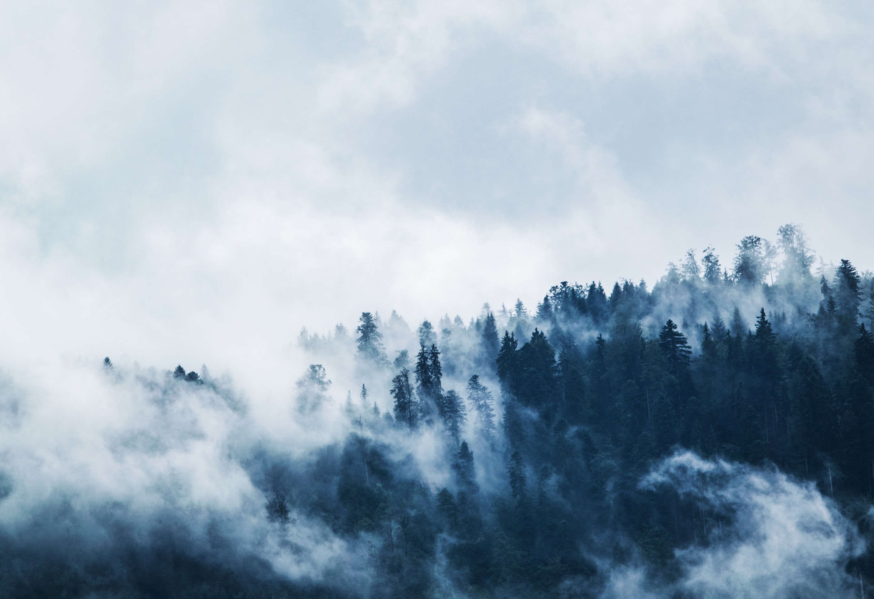 Ceață- Foto: PEXELS PHOTOS