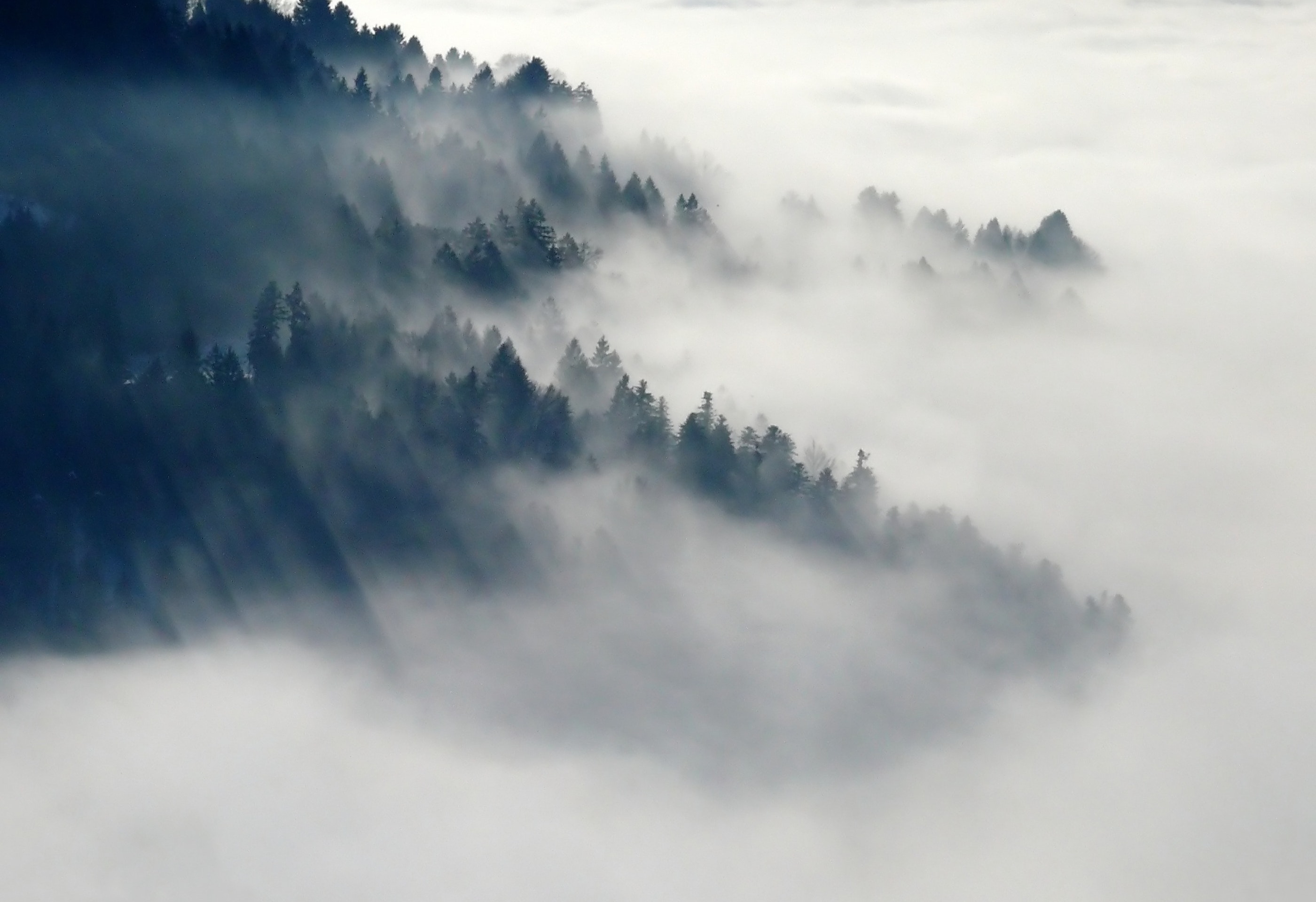 Ceață- Foto: PEXELS PHOTOS