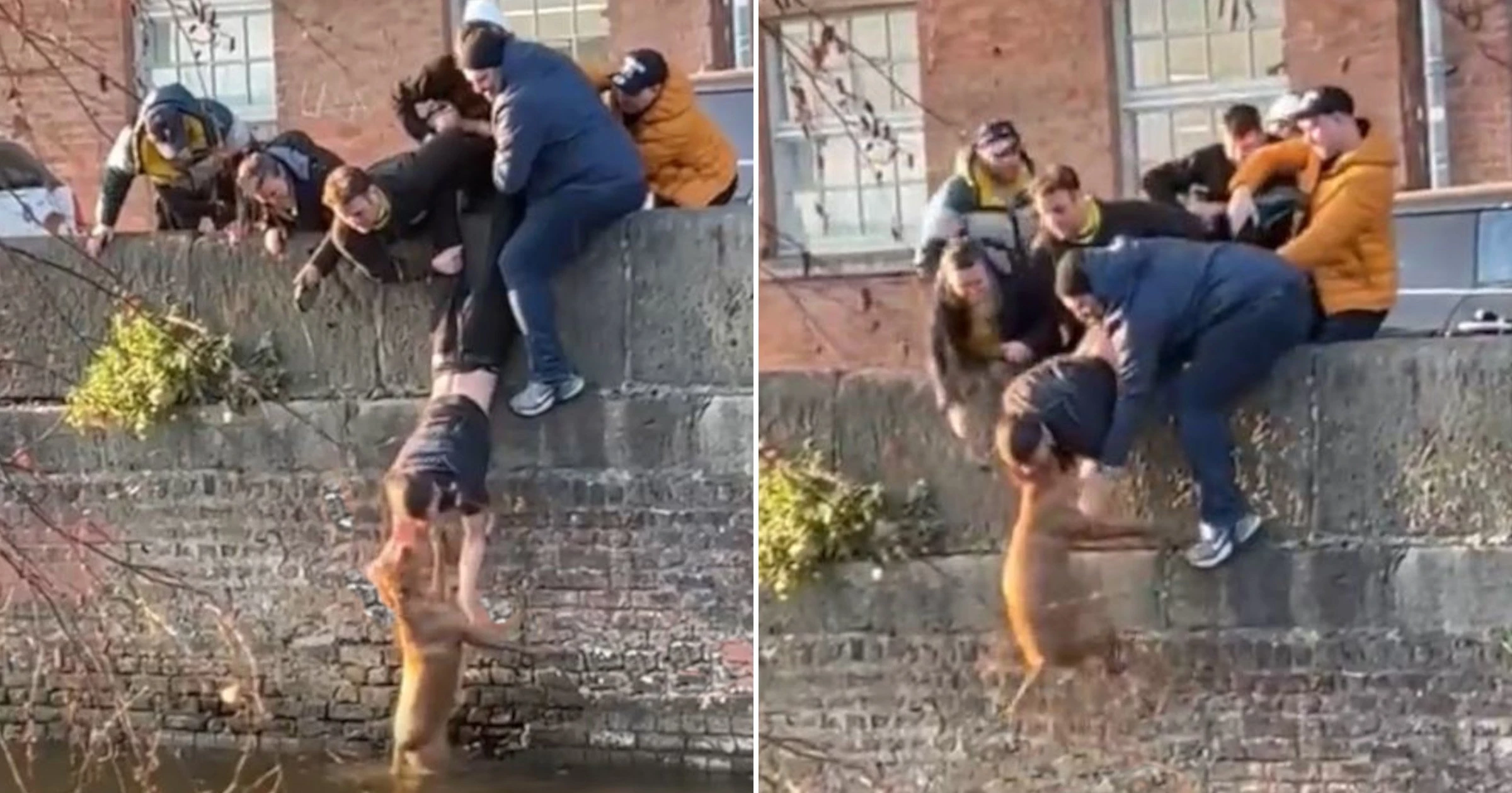atru tineri țin de picioare un al cincilea - Foto: Daily Mail / Captura Video