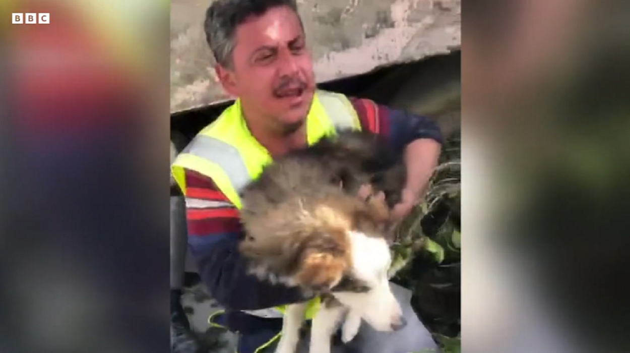 Un câine a fost salvat de sub dărâmături în Turcia după trei săptămâni - Foto: BBC / Captură video