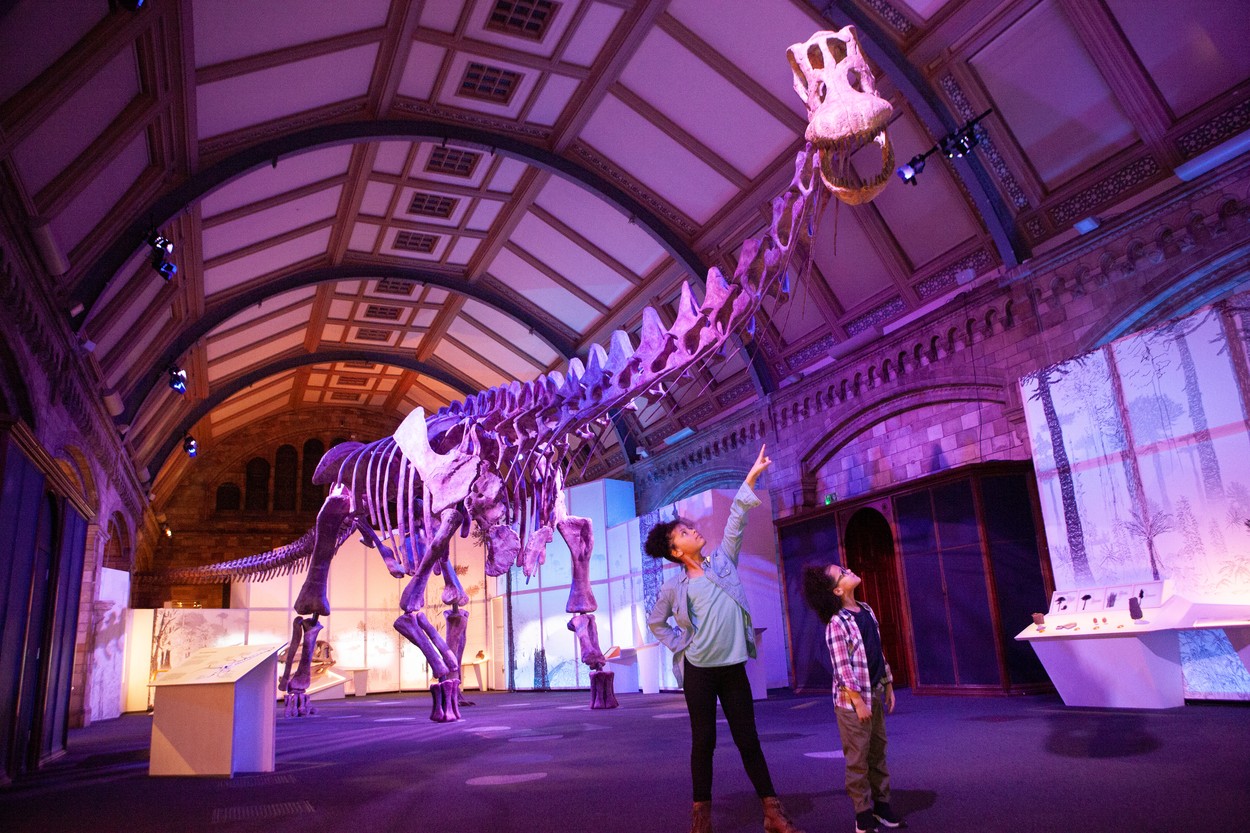 Un mulaj al unuia dintre cei mai mari dinozauri care au cutreierat Pământul, Patagotitan mayorum, este expus la Londra, în sala de expoziţii a Muzeului de Istorie Naturală. - Foto: Profimedia Images